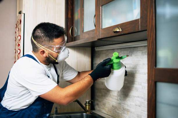 Best Termite Control Services  in Cottage Lake, WA