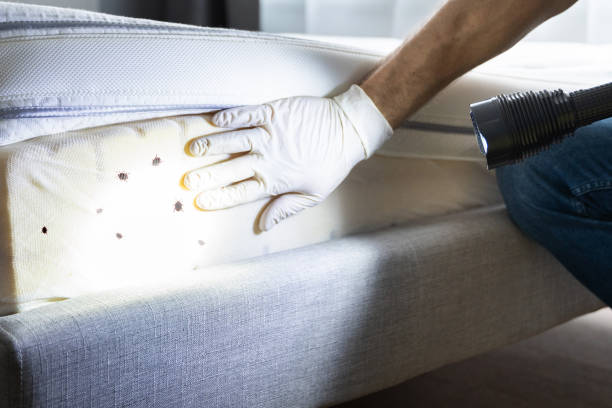 Best Affordable Pest Control Services  in Cottage Lake, WA
